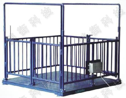 防水畜牧秤，不锈钢活畜秤厂家